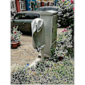 Miniatyrbillede 4 af 4: EV Oplader Regn- og Solbeskyttelsesdæksel 420d Opladningsstander Dæksel -JRCN 35*25*70cm Sort