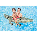 Miniatyrbilde 3 av 5: Kjøre Alligator bøye