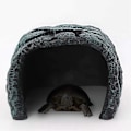 Miniatyrbilde 2 av 5: Akvariehule for reptiler, gjemmested for reptiler, steingjemmested, hule for akvarium, reptil, skilpadde, liten øgle, amfibier