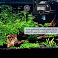 Miniatyrbild 4 av 8: LCD Digital Akvarietermometer med Sugkopp Fisk Tank Vatten Terrarium Temperatur för Fisk och Reptiler