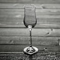 Miniatyrbilde 5 av 5: Tulip Glass Copita Nosing Glass Set (4 stk, 100 ml) - Gratis frakt