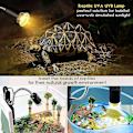 Miniatyrbillede 2 af 5: Dobbelt-hoved Reptil Varmelampe med Klemme - Intelligent Timer til Skildpadde, Skægget Drage, Firben og Mere