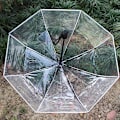 Miniatyrbillede 6 af 8: Paraply Transparent Paraply Automatisk Transparent Tri Fold Paraply