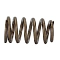 Miniatyrbillede 3 af 5: Ventilfjedre Pac1218-16 til LS1 LS3 LS6 4.8 5.3 6.0 6.2L