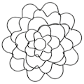 Miniatyrbillede 5 af 5: 3-pak Blomsterfrø Wire Blomsterarrangeringsværktøj Blomsterlågsarrangør