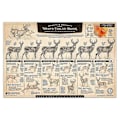 Miniatyrbilde 1 av 5: \"The Growth and Maturity of the White-Tailed Buck\" Papirtrykk A