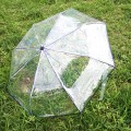 Miniatyrbillede 6 af 8: Paraply Transparent Paraply Automatisk Transparent Tri Fold Paraply