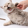 Miniatyrbild 4 av 5: 10-pack Matatabi-pinnar för katt, torkad kattmynta, naturlig kattmynta, Matabi-pinne, leksak för katter, 0,4–0,6 cm