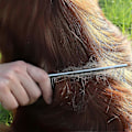 Miniatyrbillede 5 af 5: Kæledyrs stålkamme Hunde Kattekam Værktøj til fjernelse af filtret pels - Kæledyrs Dematting Kam med afrundede tænder og skridsikkert greb - Forebygger knuder og måtter f