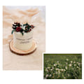 Miniatyrbild 3 av 5: Doftljus Sojavax Torra Blommor Glaslock Trämatta Aromaterapi Ljus för Heminredning Födelsedagspresent Typ 1