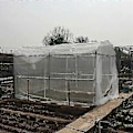 Miniatyrbilde 2 av 2: Plante Grønnsaker Insektbeskyttelsesnett Hage Fruktpleie Dekke Frukt Beskyttelsesnett Drivhus Skadedyrbekjempelse Anti-fugl Mesh Nett 60Mesh1x15m