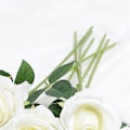 Miniatyrbillede 5 af 5: 5 stk. kunstige roser i klare farver, langtidsholdbare, attraktive, dekorative silkeblomsterdekoration, hvid