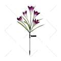 Miniatyrbilde 5 av 5: Solcelled Hageblomsterlys - Multifarget Skiftende LED, Vanntett, 4-pakning