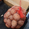 Miniatyrbilde 5 av 5: Gjenbrukbar Nettpose, 200 Stykker Nylon Mesh Grønnsaksnettpose, Frukt- og Grønnsaksemballasjenett, For Eggnettpose, Fruktnettpose