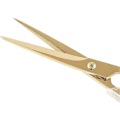 Miniatyrbillede 2 af 5: 2025 Egnede Stilfulde Akryl Guld Rustfrit Stål Premium Multifunktionelle Sakse