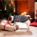 Miniatyrbilde 2 av 5: Winter Warm Pet Sweater - Koselige klær for hunder og katter