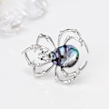 Pikkukuva 4 / 5: Mukautettava Spider Shell set