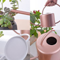Miniatyrbilde 2 av 8: 1,3L vannkanne for innendørs planter Blomster lang tut Vannkanne med ergonomisk håndtak for innendørs og utendørs