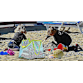 Miniatyrbillede 3 af 3: Mesh Strandtaske Ekstra Store Strandtasker og Tasker Tote Rygsæk Legetøj Håndklæder Sand Væk Til Opbevaring
