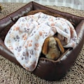 Miniatyrbillede 2 af 4: Blød fleece-dyne til kæledyr - Hvid M