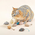 Miniatyrbild 3 av 5: 5 st Retleksak Musform Interaktiv Lättviktig Lindra Uttråkning Husdjur Tänder Leksak Katt Tillbehör