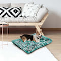Miniatyrbillede 4 af 4: Komfortabel Hundekennel Kæledyrsstrøelse Dyb Søvn Pv Strøelse Sove Seng Grøn A