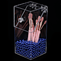 Miniatyrbild 4 av 8: Plastsimulerad pärla gör-det-själv sminkförvaringslåda Case Organizer Dekoration DIY BeadBlue