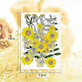 Miniatyrbilde 3 av 5: 36 stk Ekte Tørkede Pressede Blomster Blader Kronblader kompatible med DIY Lys Resin Smykker Negl Anheng Håndverk Ma