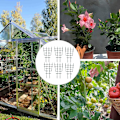 Miniatyrbild 3 av 3: Plast Växtstöd Trädgårdsspaljé för Klätterväxter Klätterram för Växter Blomkruka Spaljé Växt för Utomhus Inomhus 6 st