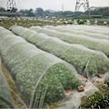 Miniatyrbillede 3 af 4: Fintmasket insektnet til have, drivhus, planter, frugter, blomster, afgrøder 6*2,5m 40 mesh 1mm maske