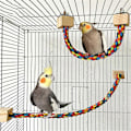 Miniatyrbild 4 av 5: 4 ST Färgglada Leksaker av Bomullsrep för Papegojor, Elastiska Klätterleksaker för Papegojor, A
