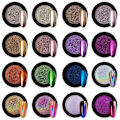 Miniatyrbild 1 av 5: Krom Nagelpuder Metallic Holografisk Aurora Kameleont Pigment 16 Burkar 1g för Nagelkonst Gellack Sjöjungfru Enhörning Doppning