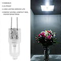 Miniatyrbillede 5 af 5: 10x G4 Type Halogenpære Lampe 12V 10W 10 Watt
