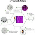 Miniatyrbilde 2 av 5: 1000W LED-lys for hagearbeid, blomstring og dyrking, innendørs plantelamper, hydroponiske plantelamper med kroker, spirings- og plantelamper (rød+blå)
