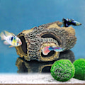 Miniatyrbillede 3 af 5: 2025 Ny Resin Hul Træstamme Log Akvarium Dekorationer Ornament Fiskehus Hule Træhus Indretning til Små