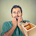 Miniatyrbild 3 av 5: Original Spider Scare Prank Box, Handgjord Rolig Skämt Scarebox Leksak, Hilarisk Trä Scare Box, Praktisk Leksaksskämt för Barn Vuxna
