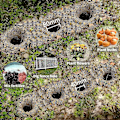 Miniatyrbild 5 av 5: 2 st Trädgårdsborr Spiralborr, växtborr, trädgårdsborr, sladdlös skruvdragare växtborr (22x4+30x8cm)
