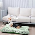 Pikkukuva 2 / 4: Mukava Kennel Koirien Lemmikkipeti Syvä Uni Pv Petti Nukkumasänky Vihreä B