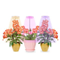 Miniatyrbillede 2 af 8: LED plantevækstlys 5 dæmpbare tilstande 3 hoved timing USB plantelampe til potteplanter drivhusgrøntsager
