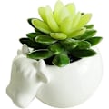 Miniatyrbilde 4 av 5: Hvit Keramisk Blomsterpotte Søt Sukkulenter Planter Simple Design Kreativ Ku Stil Liten Potte for Planter