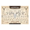 Miniatyrbillede 1 af 5: \"The Growth and Maturity of the White-Tailed Buck\" Papir Print A-B8
