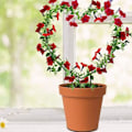 Miniatyrbillede 4 af 7: 2 stk. Sort Jern Havehegn til Klatreplanter Vinstok Plante Metal Støttetråd Hjerteformet Planter Klatrestativ