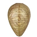 Miniatyrbild 1 av 4: Geting Decoy för Getingar, Hornets och Guljackor