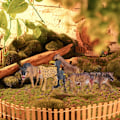 Miniatyrbillede 7 af 7: 12 stk. Dyrefigur Model Jungle Dyr Legetøj Sæt Kunstig Vild Dyr Læring Skov Dyr Legetøj Playset til Børn Børn