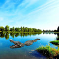 Miniatyrbilde 4 av 7: Flytende ornament Simulering Statue Vann Decoy for Pool Pond Garden