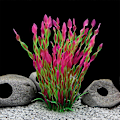 Miniatyrbillede 2 af 4: 3 Pak Fisketank Dekorationsplanter Kunstige Akvarie Vandplanter Store Plast Akvarie Dekorationer