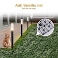Miniatyrbillede 2 af 5: 30CM*2m Anti-katte piggemåtte Net altan anti-katte Net have haveredskaber køkkenhave jagt kat anti-kæledyr gåtur