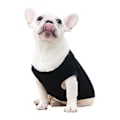 Miniatyrbillede 4 af 5: Bomulds Hundetøj Ensfarvet Hunde T-shirt Tøj Blød Åndbar Bomuldsskjorte Egnet til Katte og Hvalpe (2 Stykker) (Medium, Sort + Grå)
