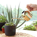 Miniatyrbillede 3 af 8: 500 ml rustfrit stålvandkande med lang tud, vandkande til udendørs og indendørs stueplanter, guld