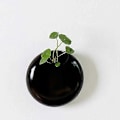 Miniatyrbild 3 av 5: Set med 2 Mini Väggmonterade Keramiska Blomkrukor Svarta Små Blomkruksdekorationer för Balkong, Inomhus och Utomhus